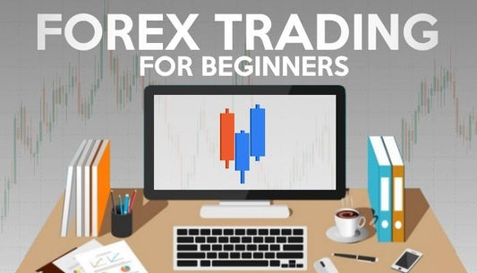 HOW TO START FOREX TRADING WITH FOREXROBOTDOWNLOAD.COM?