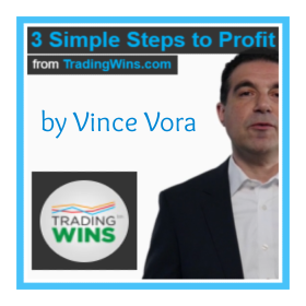 3 Simple Steps to Profit by Vince Vora