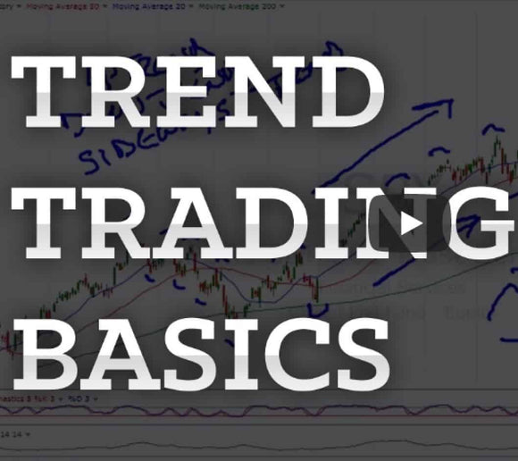 4 in 1 Trend Basics bundle