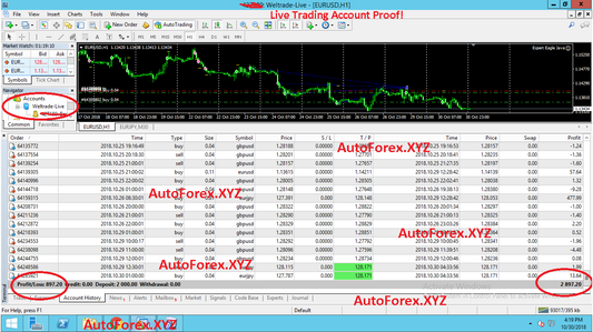 Eagle Java- Easiest Profitable Forex EA Autotrading High Profit Trading Forex Robot