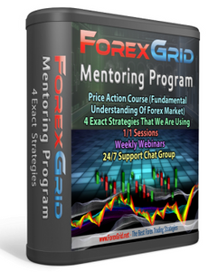Forex Grid Mentoring Program