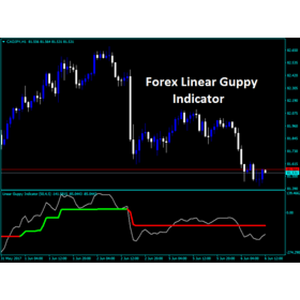 Forex Linear Guppy Indicator