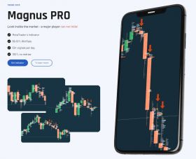 Magnus PRO Indicator. Price and Volume