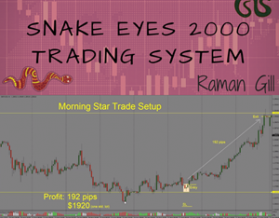 Snake Eyes 2000 Full Time Forex Trading Course by Raman Gill’s from Trading Strategy Guides
